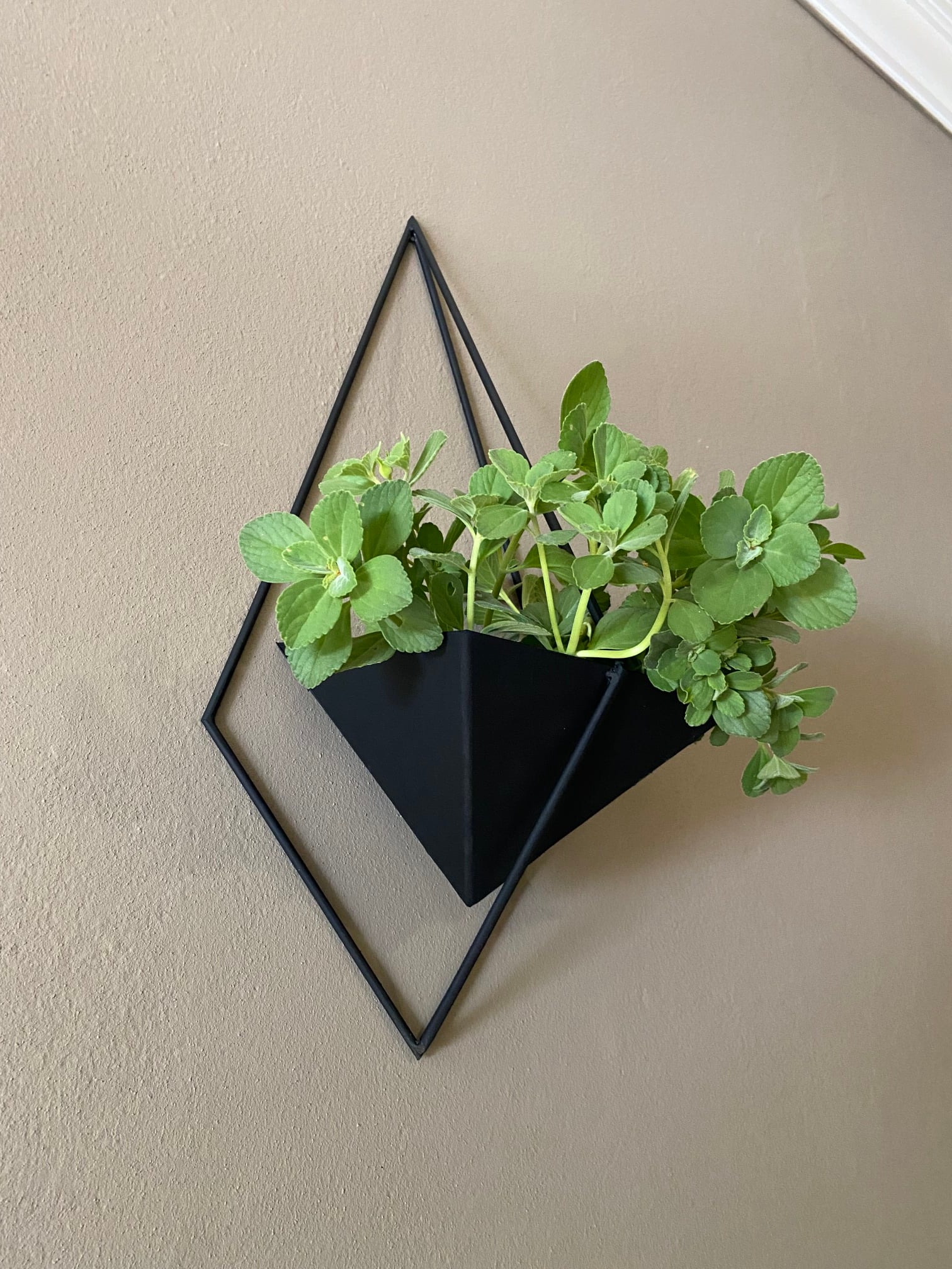 Geo Shard Duo - Image 3